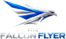 the falcon flyer